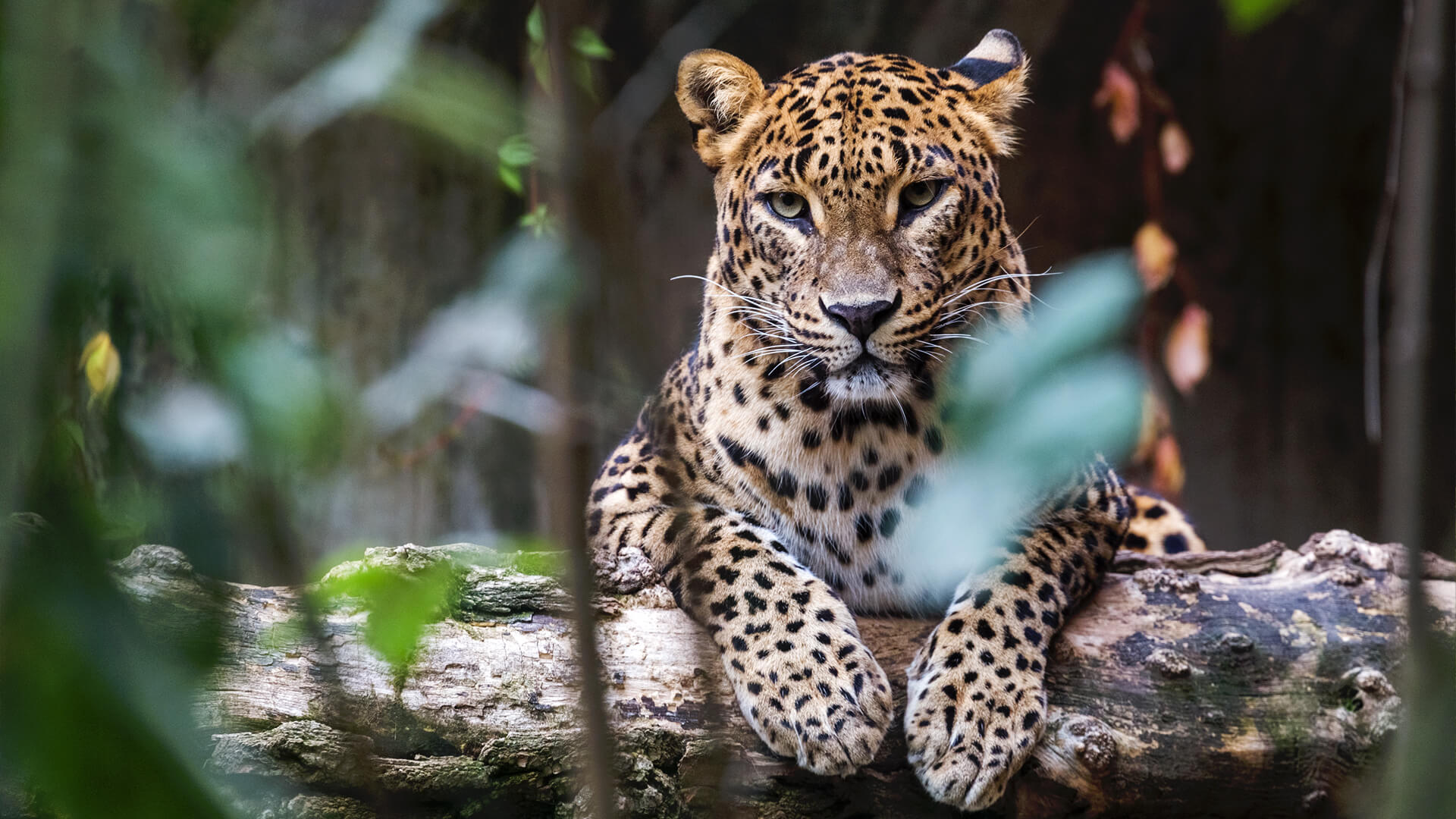 beautiful places sri lanka to visit