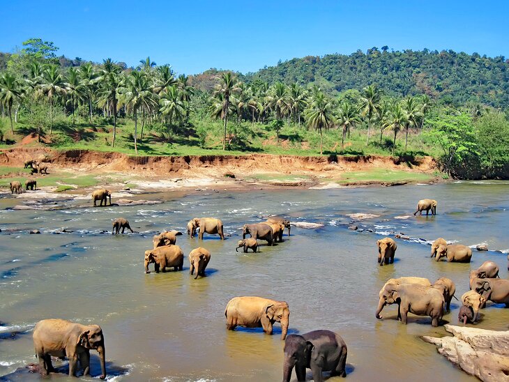 Yala National Park